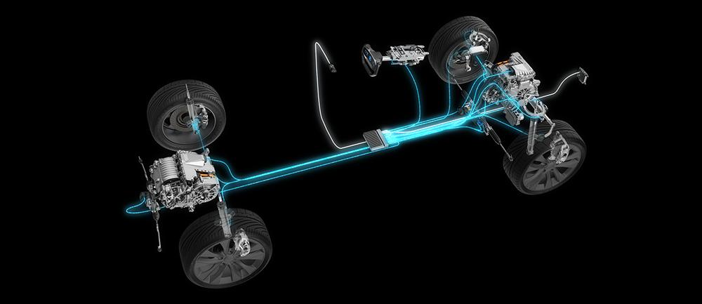 一幼儿园教师沉迷赌博